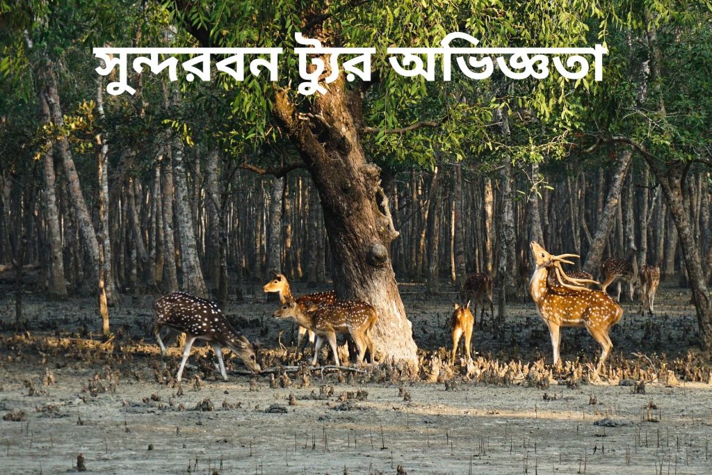 সুন্দরবন ট্যুর অভিজ্ঞতা