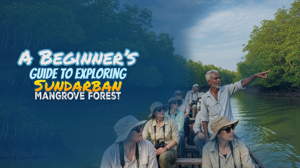 A Beginner’s Guide to Exploring Sundarban Mangrove Forest